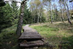 Wandern im Kellerwald: Wüstgarten