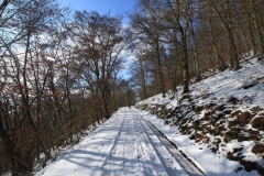 kellerwaldsteig_12_20150331_1416817999