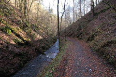 kellerwaldsteig_15_20150331_1238633450