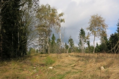 kellerwaldsteig_15_20150331_1757435701