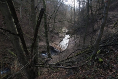 kellerwaldsteig_16_20150331_1011849345