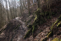 kellerwaldsteig_17_20150331_1185764370