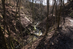 kellerwaldsteig_18_20150331_1332444623