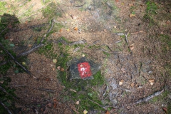 kellerwaldsteig_2_20150331_1069852348