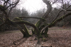 kellerwaldsteig_5_20150331_1288719537