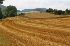kellerwaldsteig_8_20150331_1490148911