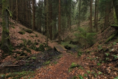 Wandern im Knüllwald: Lochbachklamm