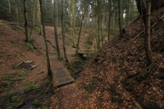 Wandern im Knüllwald: Lochbachklamm