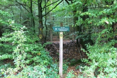 Wandern im Reinhardswald: Holzhapetal