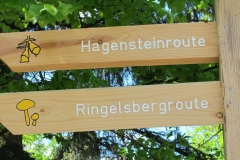 Wandern am Edersee: Hagensteinroute