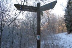 knorreichenstieg_01_20150331_1845509127