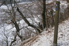 knorreichenstieg_14_20150331_1011165774