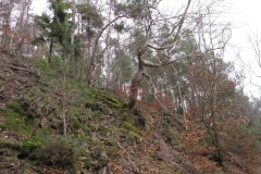 knorreichenstieg_16_20150331_1328951015