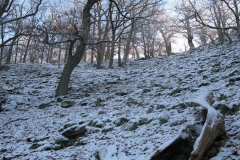 knorreichenstieg_5_20150331_1215638947