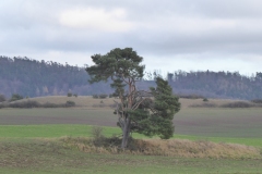 Wanderung bei Lütersheim