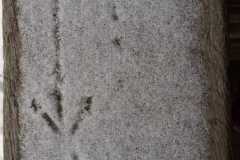 d3eb38eb-6cfe-4982-9913-c4d1ef4d4d13